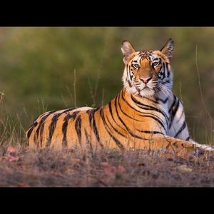 Meet your Posher, William